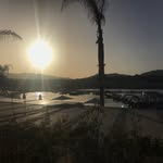 Tom Eaves - @tomeavesy - Instagram