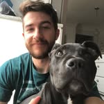 Tom Ebert - @bertwithdogs - Instagram