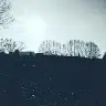 Tom Eckardt - @tomeckardt76 - TikTok