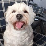 @eckel_tom - Instagram