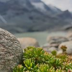 Tom Eckel - @hakturi007_ - Instagram
