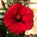 Tom Eckhardt - @tompitom40 - Instagram