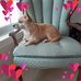 Tom Edwards - Facebook