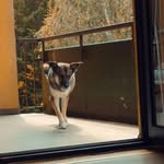 Tom Eggert - @tom.eggert.754 - Instagram