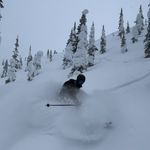 Tom Eggert - @notadoctor_ - Instagram