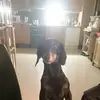 tommyeklund3 - @tommyeklund3 - TikTok