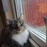 Tommy Ekström - @tommy.ekstrom.56 - Instagram