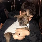 Tom Eldridge - @tom3ldridg3 - Instagram