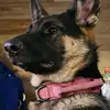 Tom Ellenburg - @tom.ellenburg - TikTok