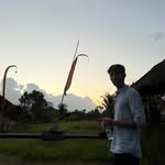 Tom Ellingham - @tom_ellingham - Instagram