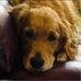 Tom Emory - Facebook