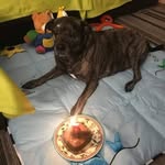 Töño Mendöza - @to_mendoza - Instagram
