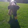 Tom Endres - @tom.e_gamer - TikTok