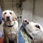 Tom Endres - @endrestom002 - Instagram