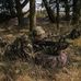 Tom Ericksen - Facebook