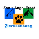 Tom Ernst - @zierfischoase_fino - Instagram