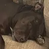 Tom Estes - @tom.estes - TikTok