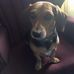 Tom Etters - Facebook
