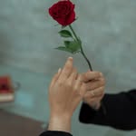 عادل💫 - @farman_tom_dz - Instagram