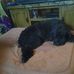 Thomas Farquharson - Facebook