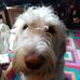 Thomas Farquharson - Facebook