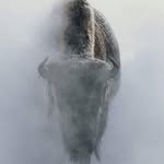 Tom Farris - @tom.farris.562 - Instagram