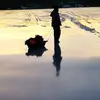 fishfaught - @tomfaught10 - TikTok