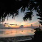 Tom Feiler - @tom5257f - Instagram
