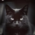 Tom Ferry - @tom.ferry77 - Instagram