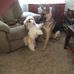 Tom Flack - Facebook