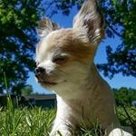 Tom Flanigan - @tom.flanigan.79 - Instagram