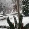 Flora Cotom - @floracotom - TikTok
