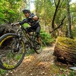 MTB - @tom.e.florence - Instagram