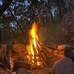Tom Fog - @tomfogarty088 - Instagram