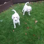 tom fogarty - @fogarty521 - Instagram