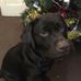 Tom Forsyth - Facebook