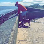 Tom Forsyth - @crinbob - Instagram