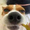 Tom Fullam - @tom.fullam3 - TikTok