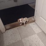 Tom Fullam - @fullam.tom - Instagram