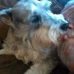 Tom Fultz - @tom.fultz.90 - Instagram