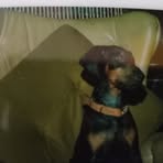 Tom Gammon - Facebook