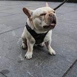 Tom Gammons - @tomgammonsphotography - Instagram