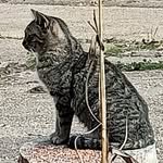 Tom Garrett - @tom.garrett.1420 - Instagram
