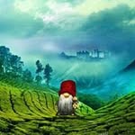 Tom Garrett-Kraus - @tomgarrettkraus - Instagram