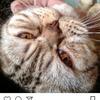 user3609530134935 - @tom.garry - TikTok
