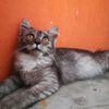 Tom Gary - @tom.gary06 - TikTok