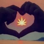 Tom Garza - @tg1399 - Instagram