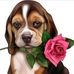 Tom Gaspar - Facebook