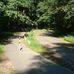 Tom Gast - Facebook