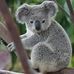 Tom Gast - Facebook